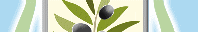item34